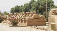 Private Overnight Tour from Safaga to Luxor 