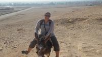 Ride a Donkey Along the West Bank from Luxor