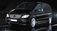 Istanbul Private Arrival Transfer - Ataturk Airport