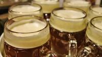 Prague Mini-Breweries Beer Tour with Czech Appetizers