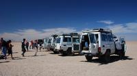 Bedouin BBQ in the Egyptian Desert in Hurghada by 4x4