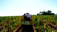 Penedès Winery Tour from Barcelona