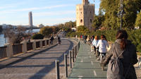 Seville Bike Tour Following the Guadalquivir River