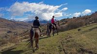 Small-Group Gold Discovery Horse Riding in Cardrona Valley