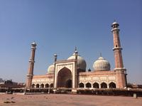 Heritage Day Tour of Old and New Delhi 