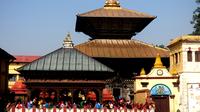 Private Half-Day Tour of Pashupatinath Temple and Boudhnath Stupa