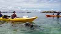 Excursion en kayak de mer Dans les îles des pingouins et des phoques au départ de Perth