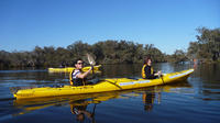 Excursion en kayak sur le fleuve Canning