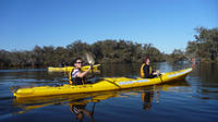 Kayak Tour on the Canning River 