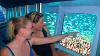 Cayman Islands Submarine Tour plus Turtle Encounter 