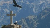 Private Tour: 2-Day Colca Canyon from Arequipa