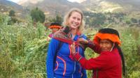 Visite privée: Pisac, Ollantaytambo et Amaru Communauté Visitez