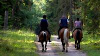 2-Day Horse Riding Tour in in Sredna Gora from Plovdiv