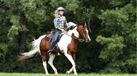 Horse Riding Tour in Rhodope Mountains from Plovdiv