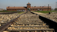 Auschwitz- Birkenau and Wieliczka Salt Mine in One Day