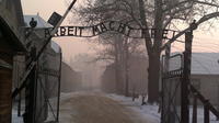 Small Group Tour to Auschwitz-Birkenau Museum from Krakow