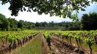 Private Tour of Small Carpathian Wine Route with The Red Stone Castle