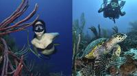 LOS ROQUES UNDERWATER PHOTOGRAPHY COURSES AND WORKSHOPS
