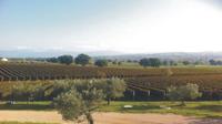 Privat vintur i Toscana fra Firenze Privat vintur i Toscana fra Firenze
