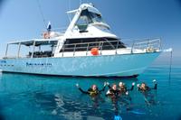 Great Barrier Reef Dive and Snorkel Cruise from Townsville or Magnetic Island