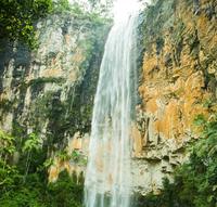 Springbrook National Park Hiking Tour Including Purling Brook Falls from the Gold Coast