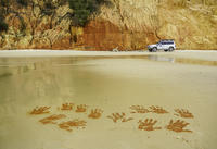 Great Beach Drive: 4WD-tour tussen Noosa en Rainbow Beach Great Beach Drive: 4WD-tour tussen Noosa en Rainbow Beach