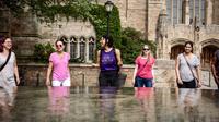 Fitness Walking Tour of Yale and New Haven