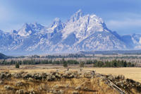 Grand Teton National Park Guided Tour From Jackson Hole