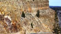 Self-Guided Yellowstone Upper Loop Tour from Gardiner 