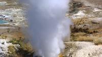 Yellowstone Basse boucle Visite autonome conduite de Jackson Hole