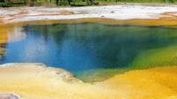 Yellowstone Lower Loop Self-Guided Tour from Cody 