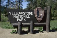 Yellowstone Upper Loop Self Guided Driving Tour from Jackson Hole