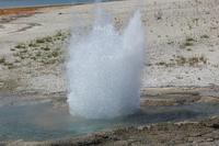 Yellowstone Upper Loop Self-Guided Tour from West Yellowstone