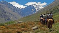 Horseback Riding in the Andes from Santiago