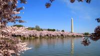 Visite privée: Personnalisable Tour Of Washington DC Par SUV