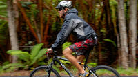 Kilauea Volcano and Lava Combo Bike Tour