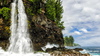 Ultimate Hawaii Waterfalls combo Dolphin Boat Tour