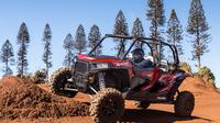 Guided Polaris UTV Tour