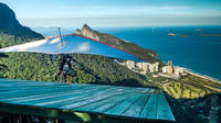 Tijuca Forest and Favela Tour in Rio de Janeiro