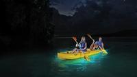 Sortie nocturne en kayak Dans la baie bioluminescente de Vieques