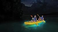 Vieques Bioluminescent Bay Night Kayak Tour