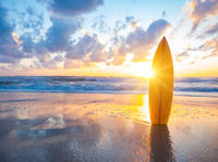 Surfboard Weekly Rental