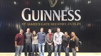 Temple Bar Highlights Tour avec Guinness et Whiskey dégustation de Dublin