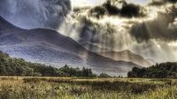 4-Day Tour of South Western Ireland from Dublin 