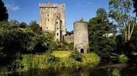 Excursion d'une journée au château de Blarney au départ de Dublin incluant la pierre de Blarney image 1 Excursion d'une journée au château de Blarney au départ de Dublin incluant la pierre de Blarney image 1