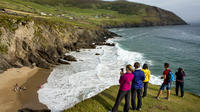 Excursion de 4 jours dans le sud-ouest de l'Irlande au départ de Dublin image 1 Excursion de 4 jours dans le sud-ouest de l'Irlande au départ de Dublin image 1