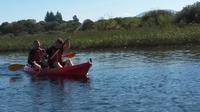 4-Day Celtic Voyage Tour from Killarney image 1 4-Day Celtic Voyage Tour from Killarney image 1