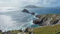 Dingle and Blasket Visitor Center Tour from Killarney