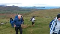 Dingle Day Tour de Killarney