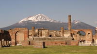 Full Day Small Group Pompeii Tour from Sorrento with Local Wine Tasting